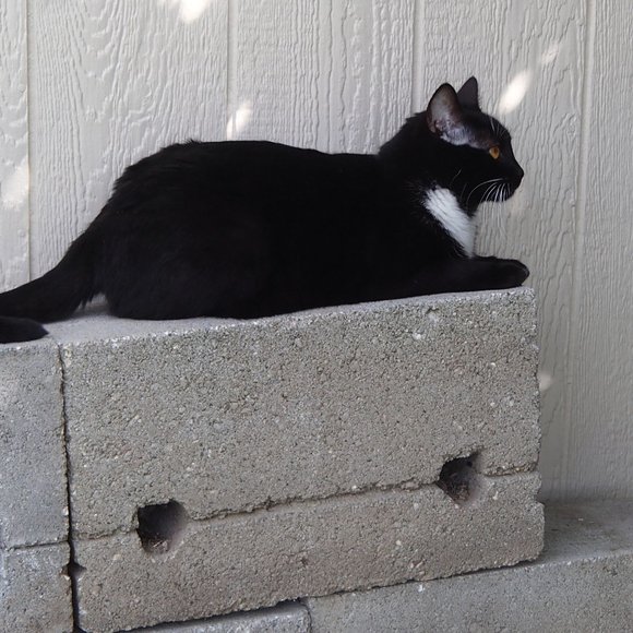 Share My Items And I Will Share Yours - Picture 6 of 7